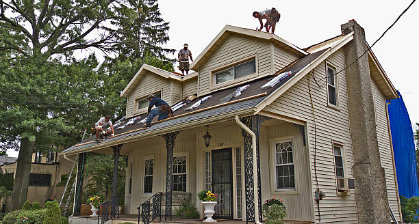 Best Best Roofing Contractors  in Naples, TX